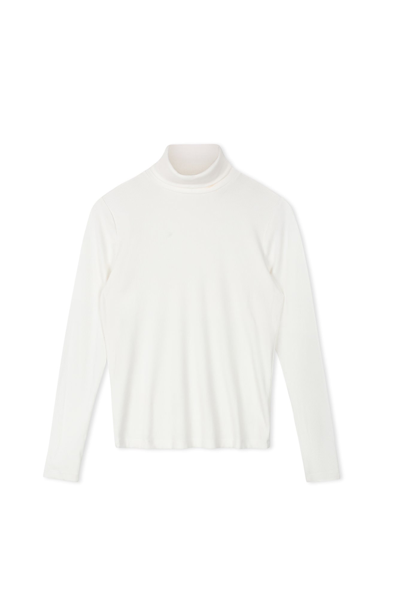 Point Jersey Rib Turtleneck