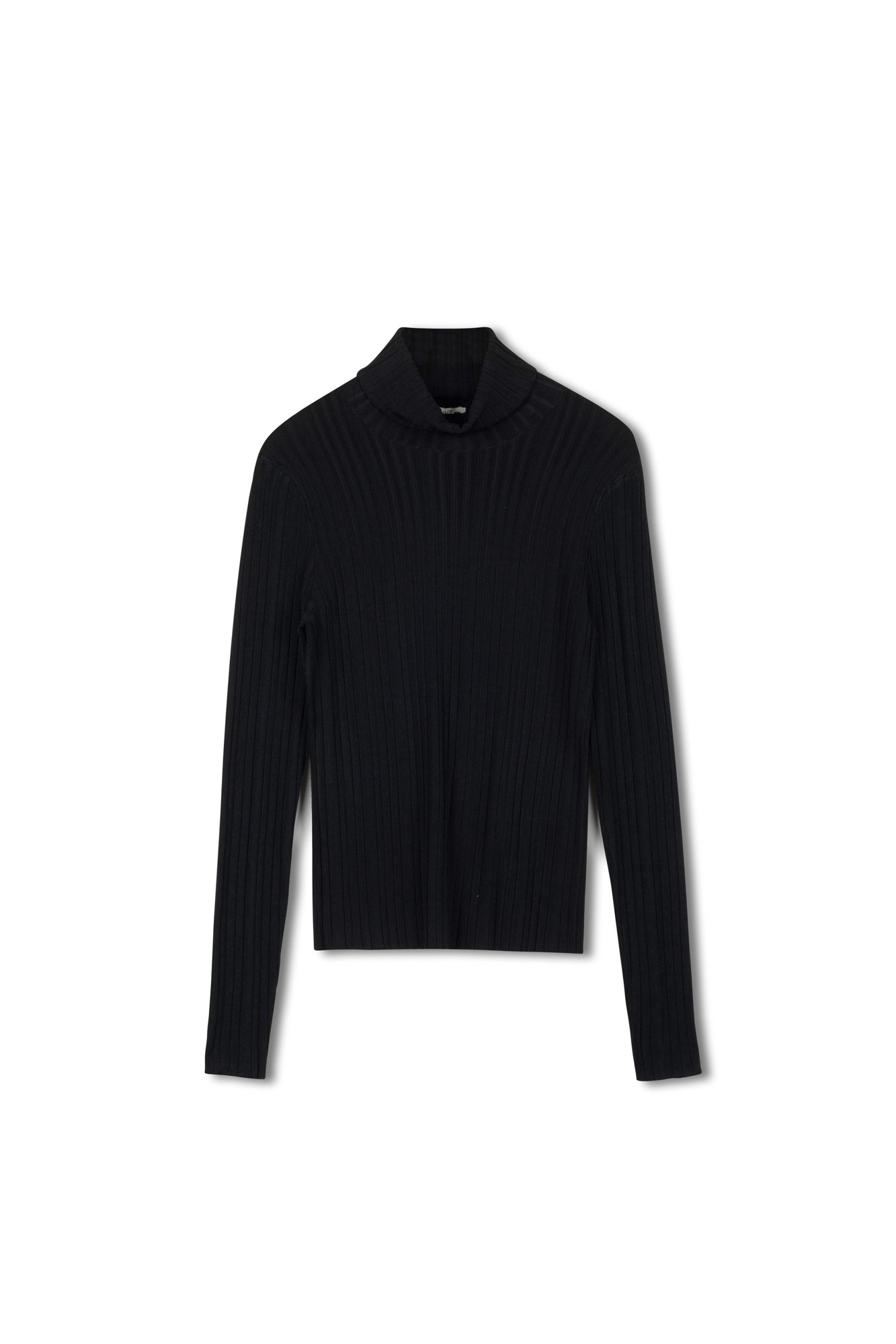 Point Basic Turtleneck