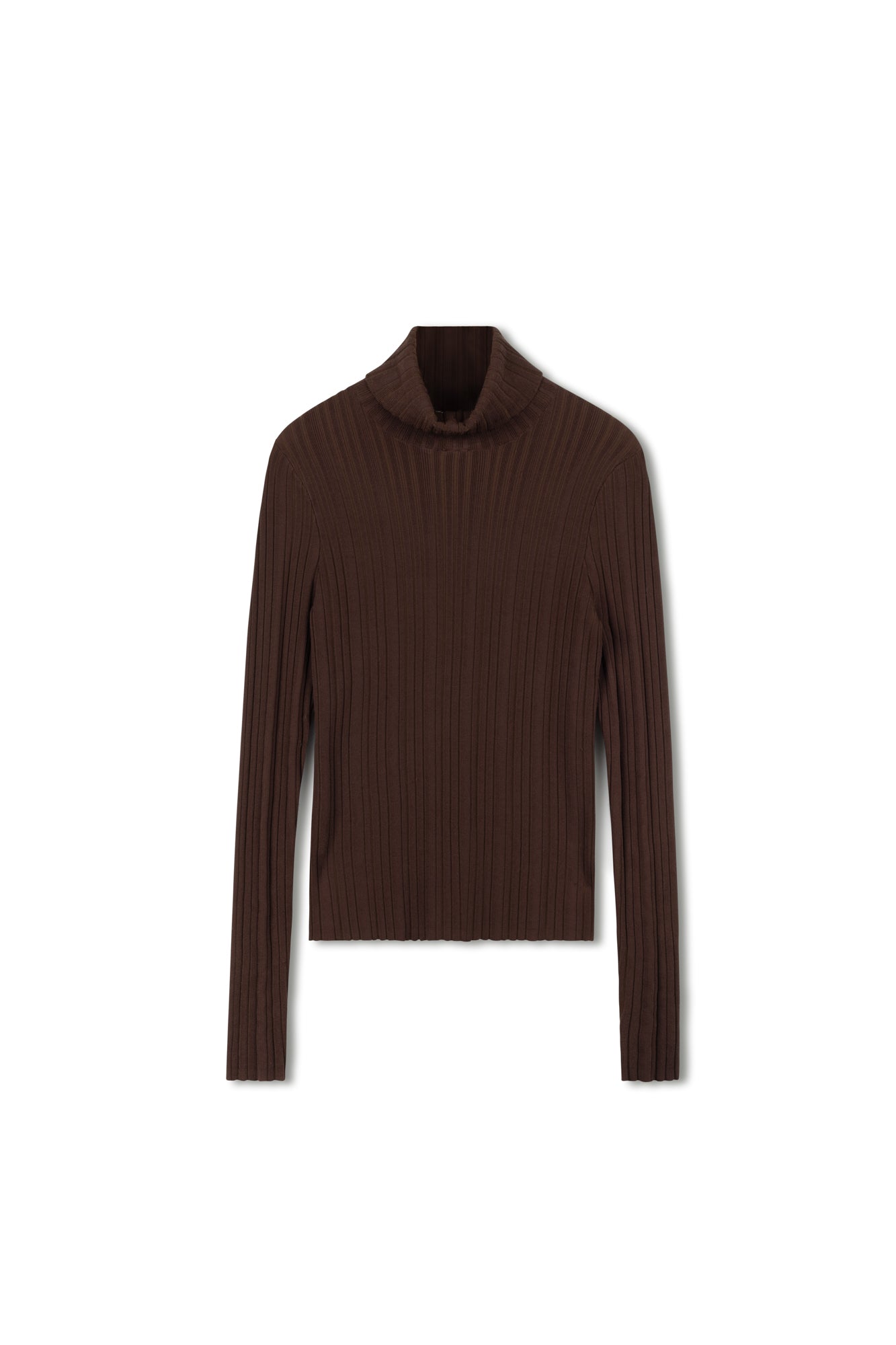Point Basic Turtleneck