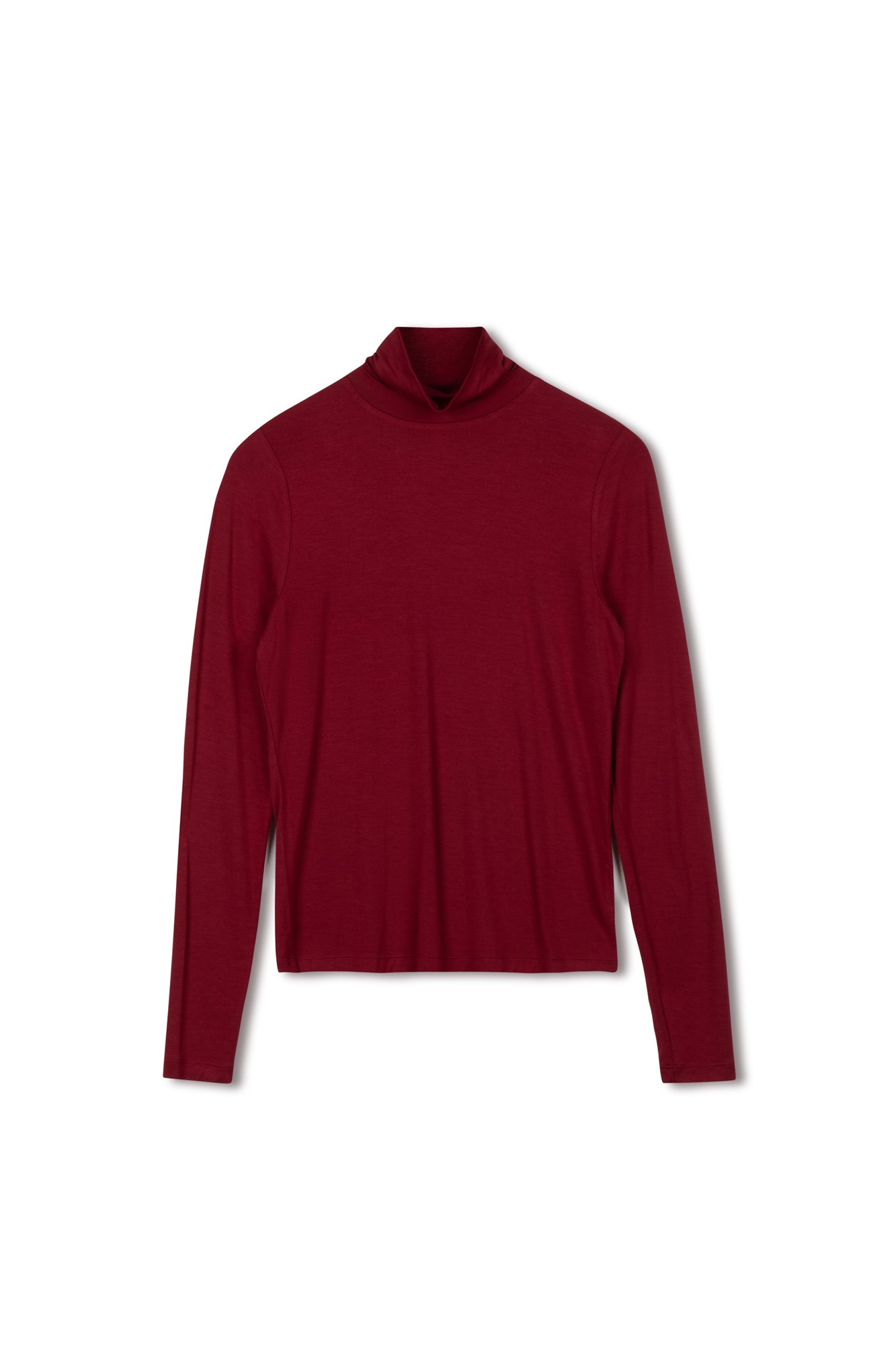 Point Modal Turtleneck