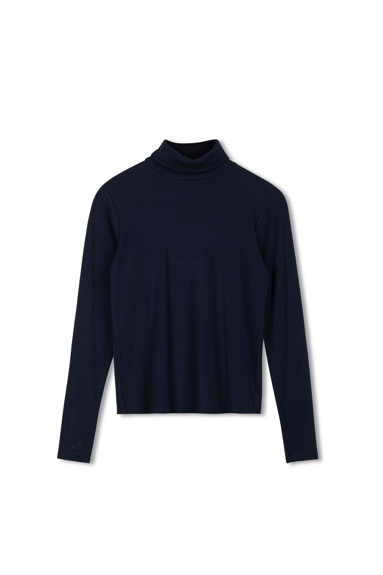 Point Jersey Rib Turtleneck