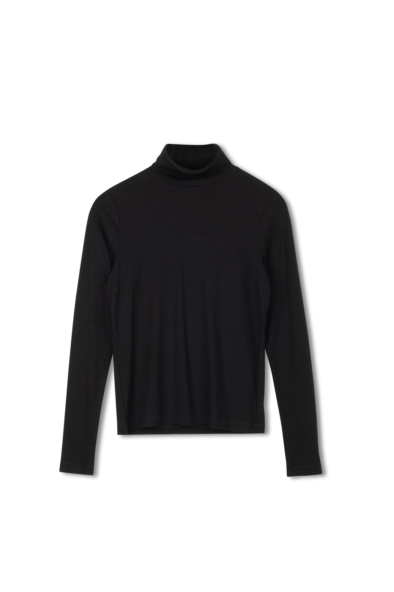 Point Jersey Rib Turtleneck
