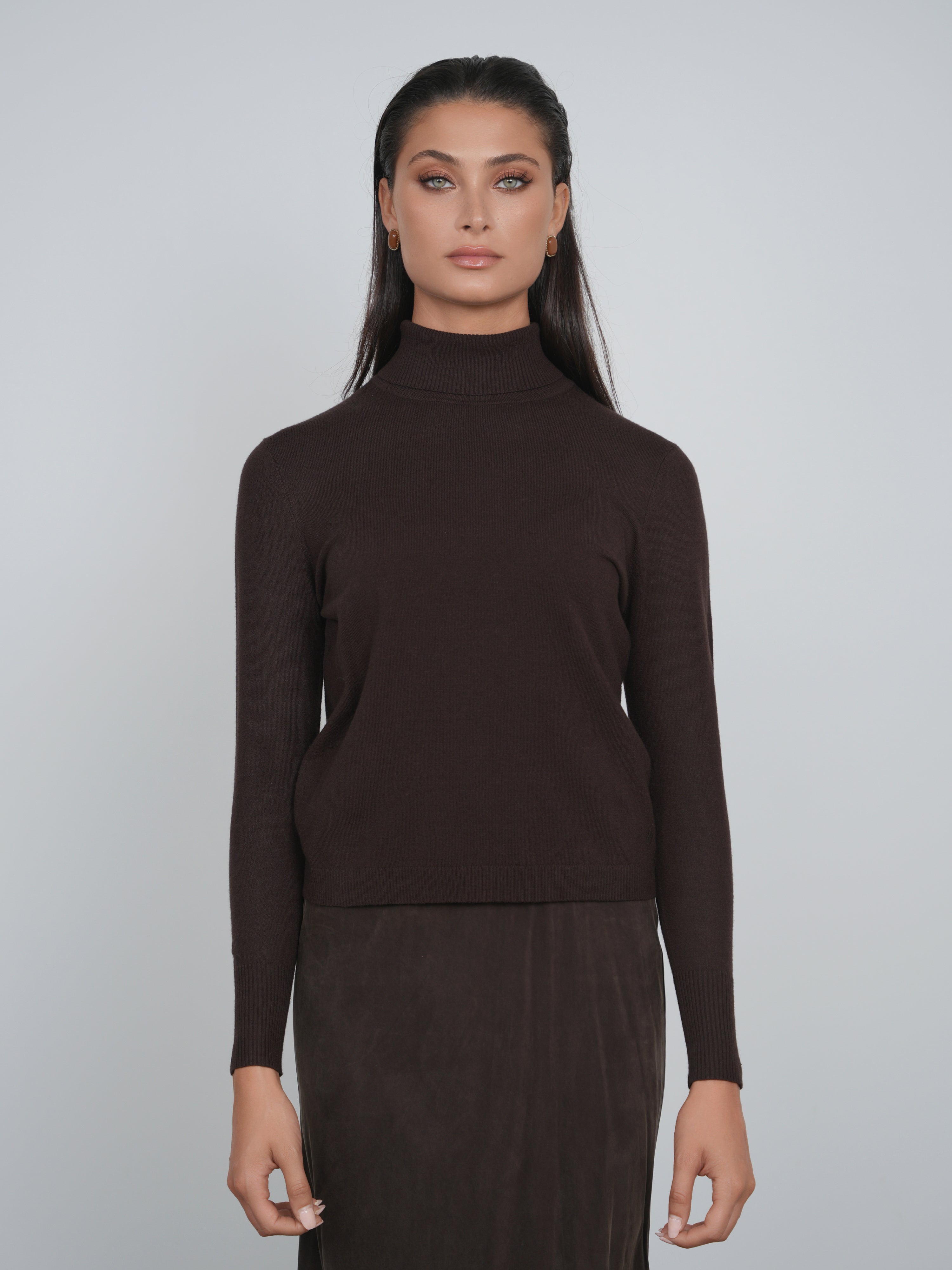 Point Turtleneck Sweater
