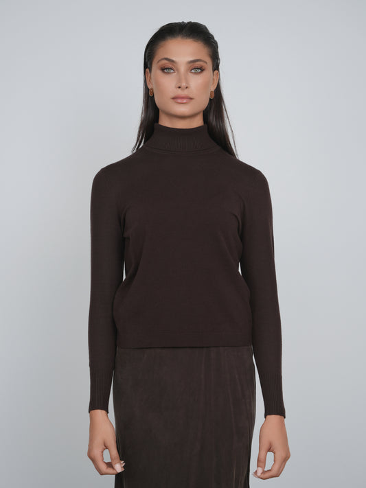 Point Turtleneck Sweater