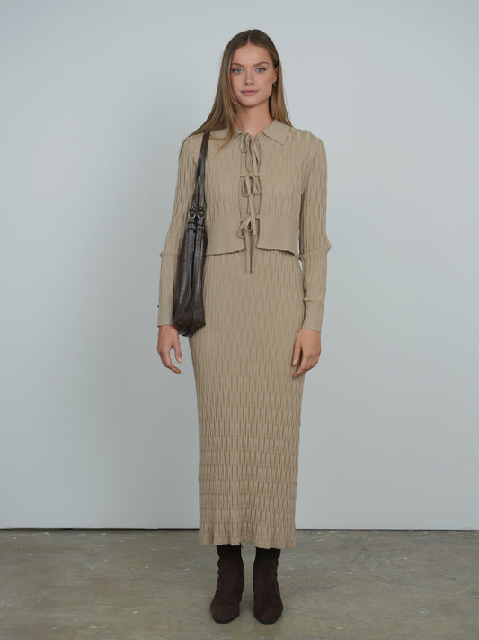 Point Metallic Knit Dress