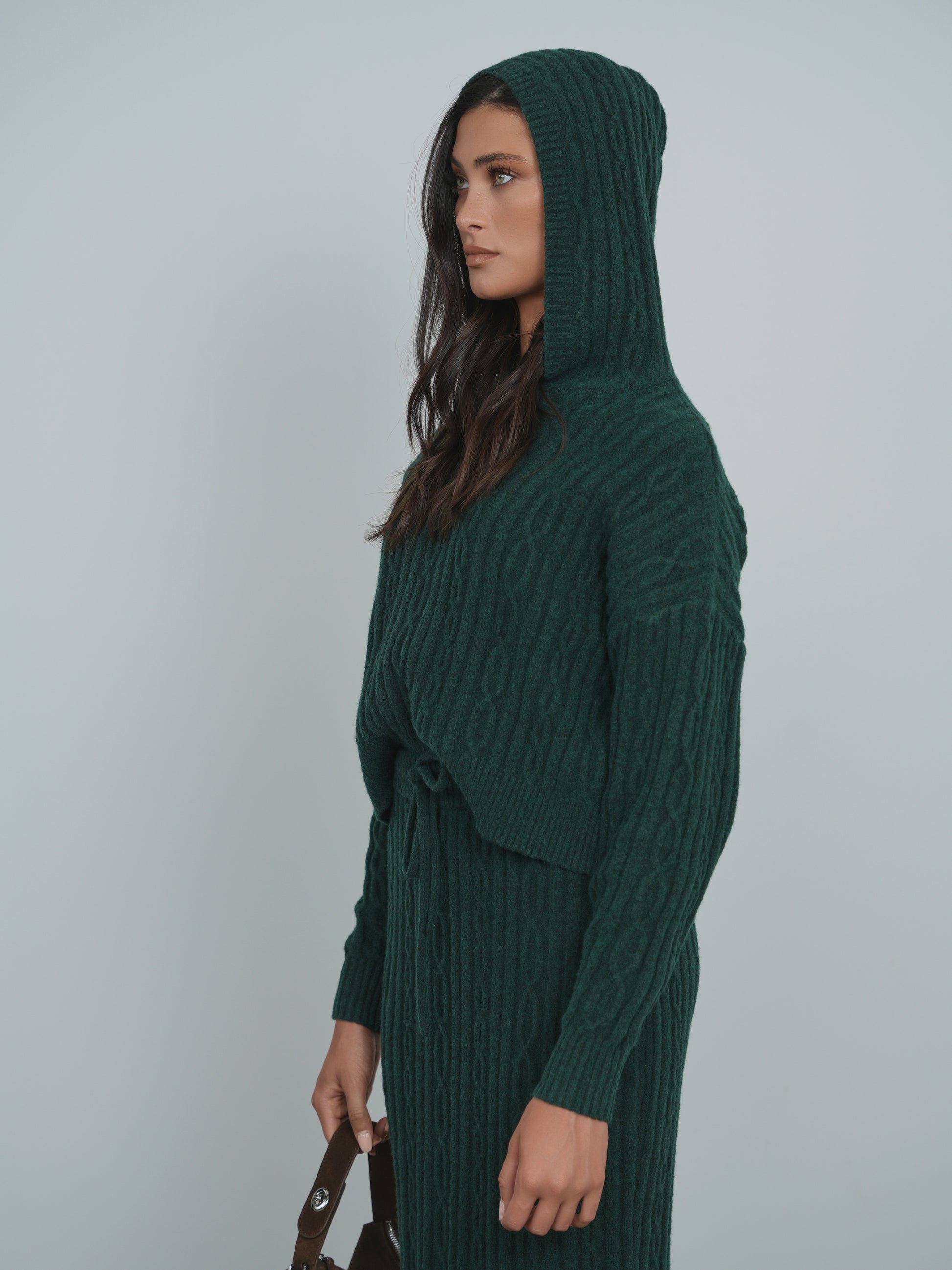 cable knit hoodie dress CABLE KNIT ZIP UP SWEATER DRESS-WD15294 Fashion Phobia