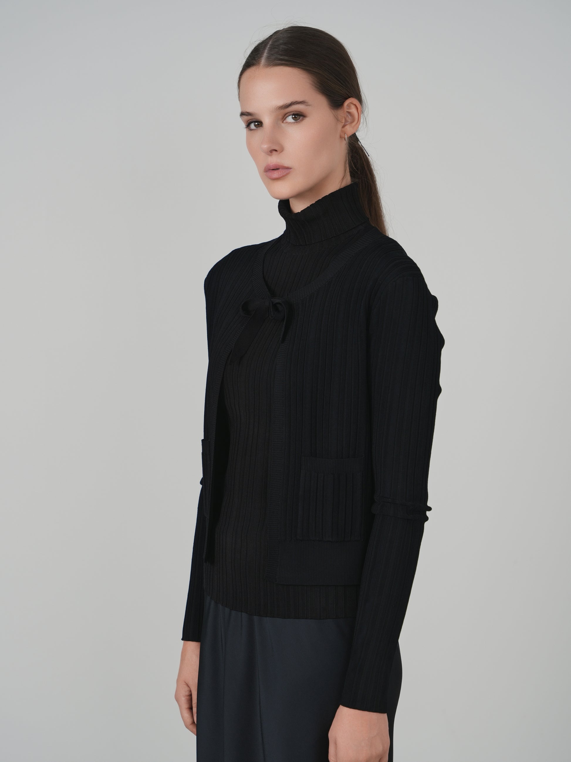 Point Sleeveless Turtleneck
