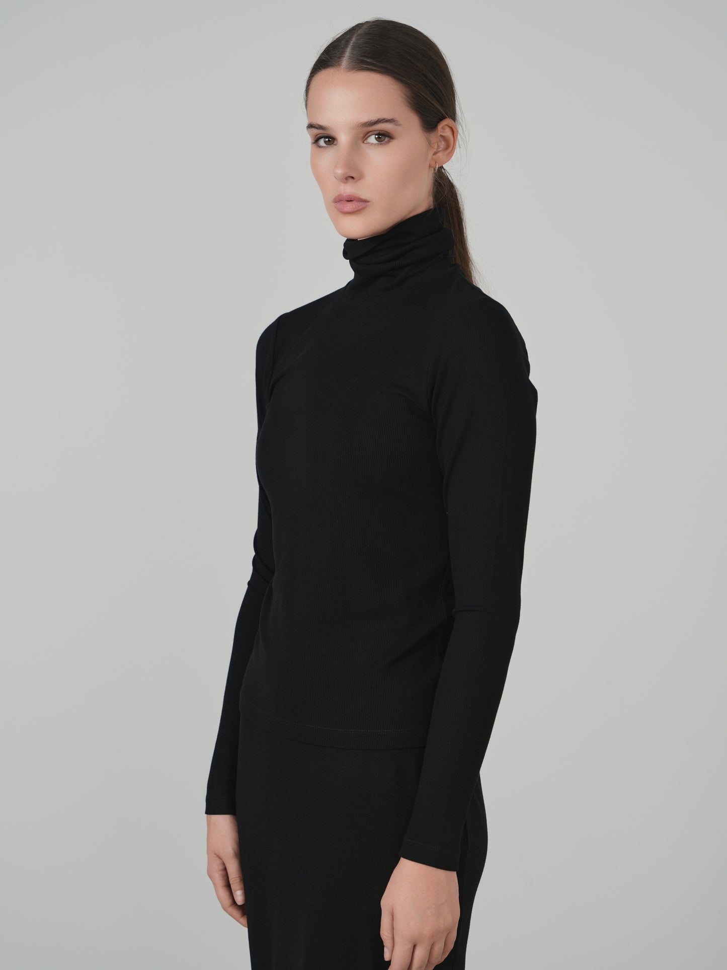 Point Jersey Rib Turtleneck